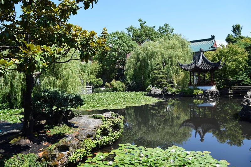 Meditation Oasis